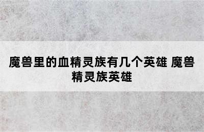 魔兽里的血精灵族有几个英雄 魔兽精灵族英雄